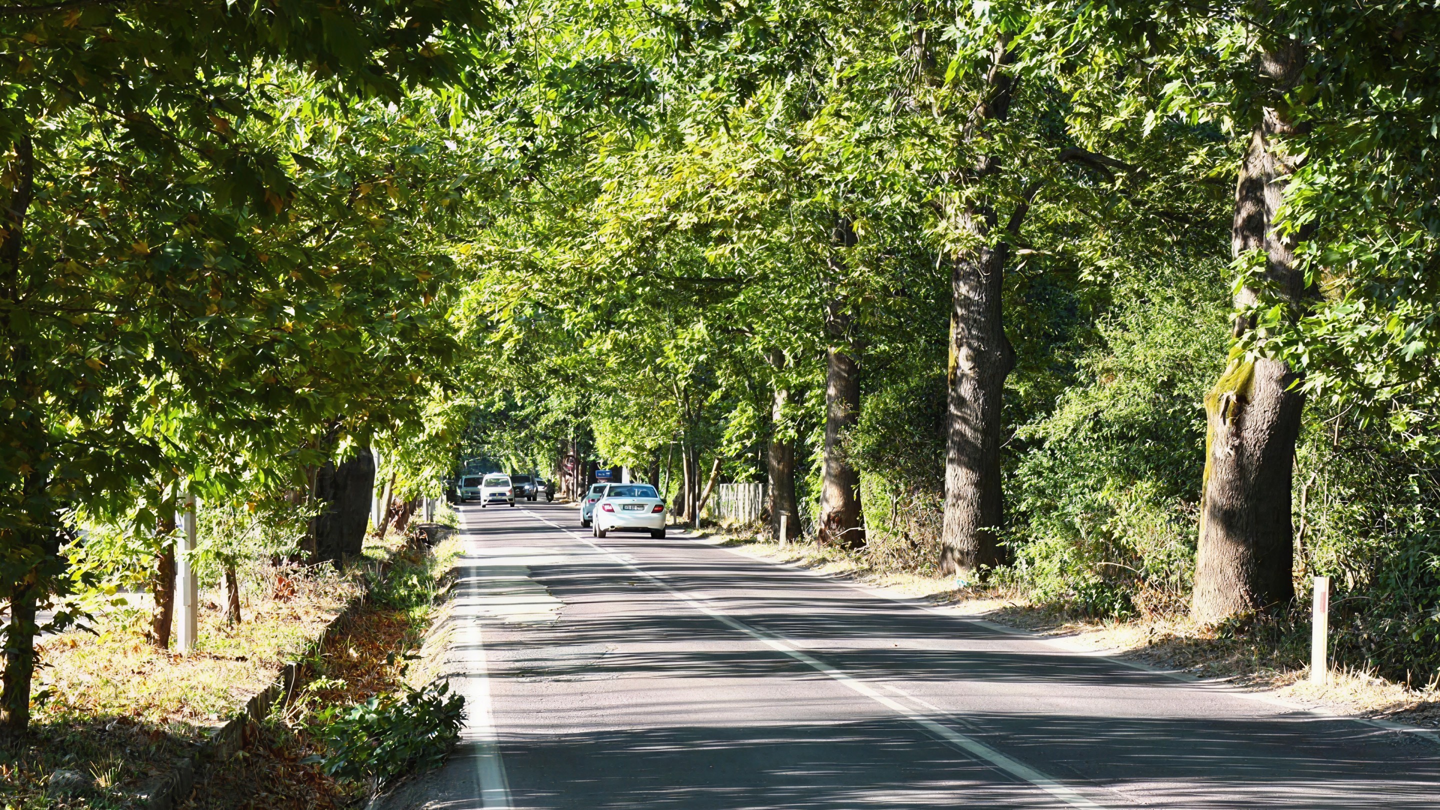mavi yeşil yol yalova